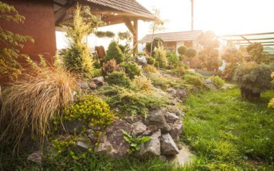 Wie kann man einen Steingarten im Garten anlegen?