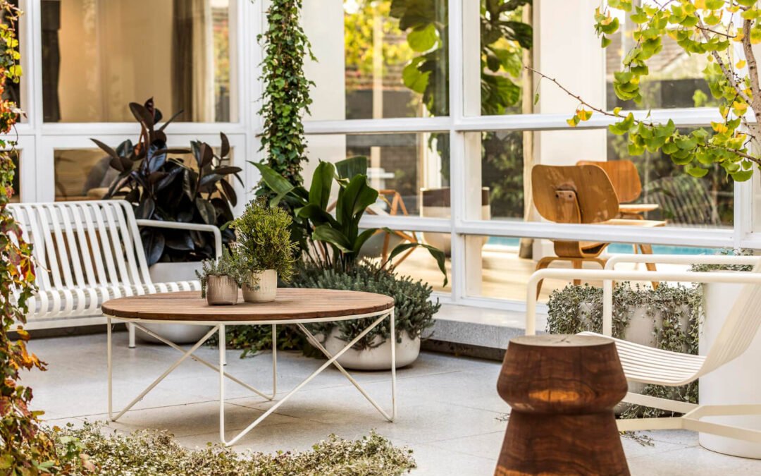 Welche Pflanzen eignen sich für Terrasse?