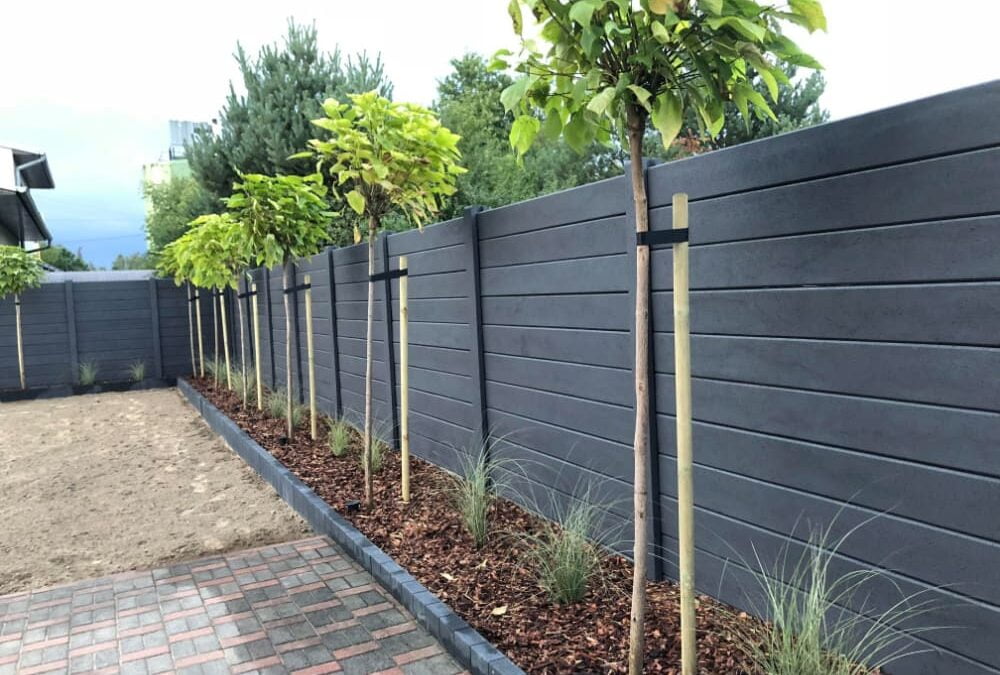 Bepflanzung am Zaun entlang