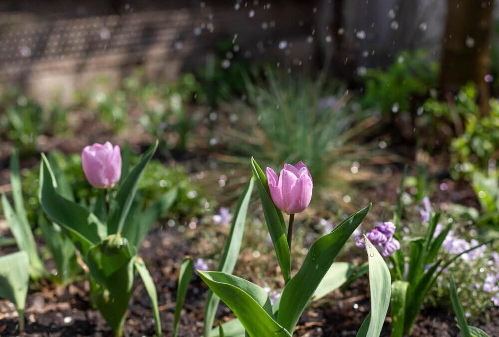 Gartenarbeiten im April