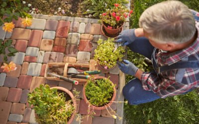 Die wichtigsten Vorteile der Gartenarbeit