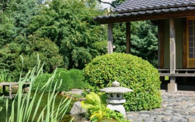 Garten im Zen-Stil